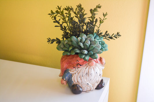 Succulent Gnome