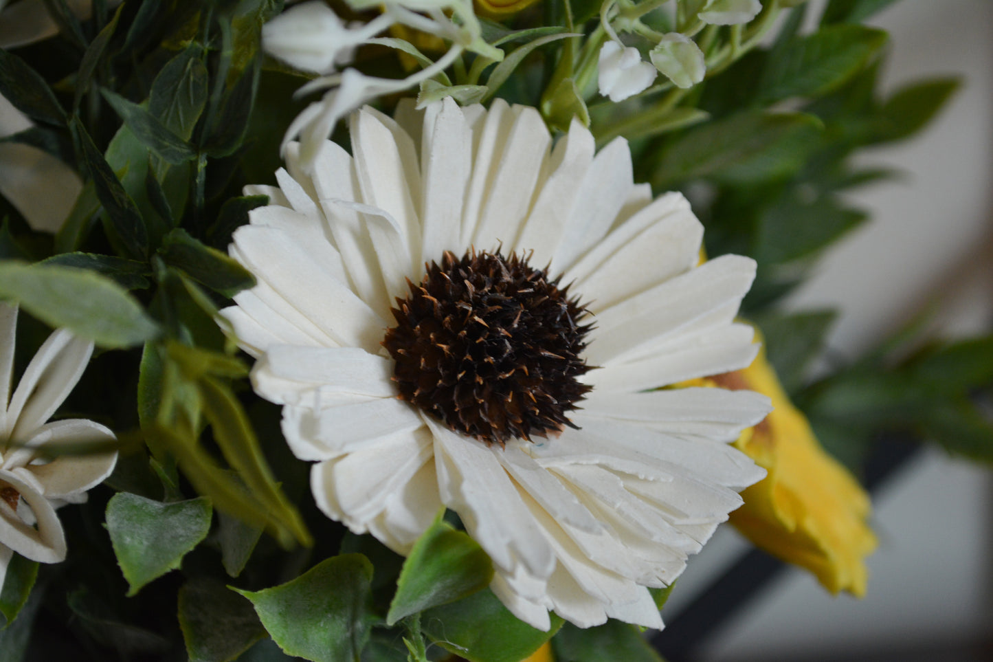 Daisies and Sunflowers