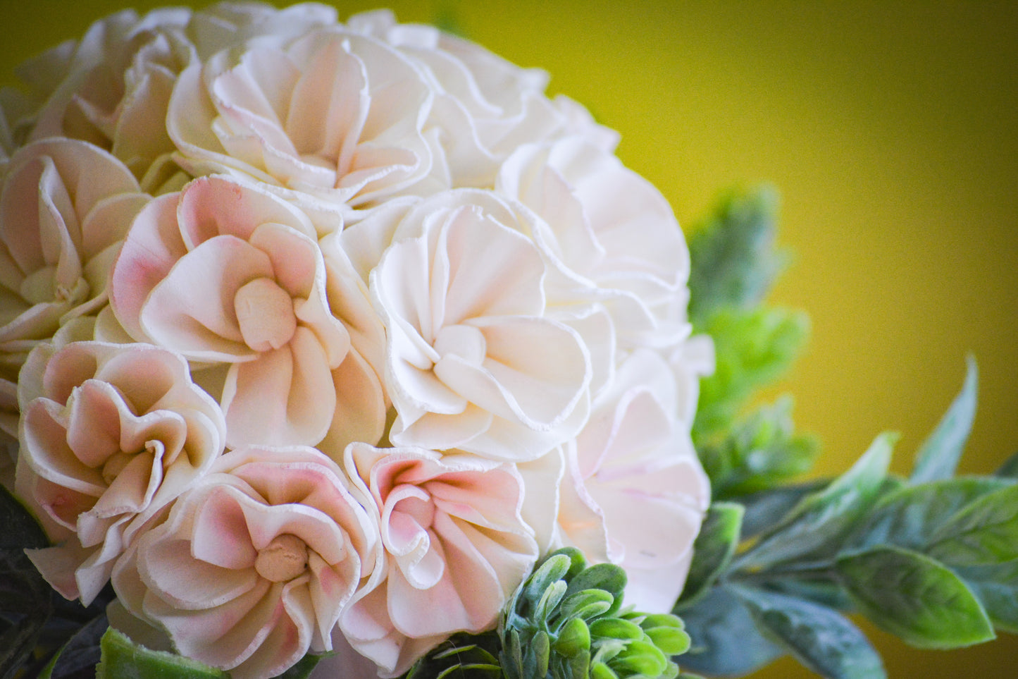 White and Pink Hydrangea