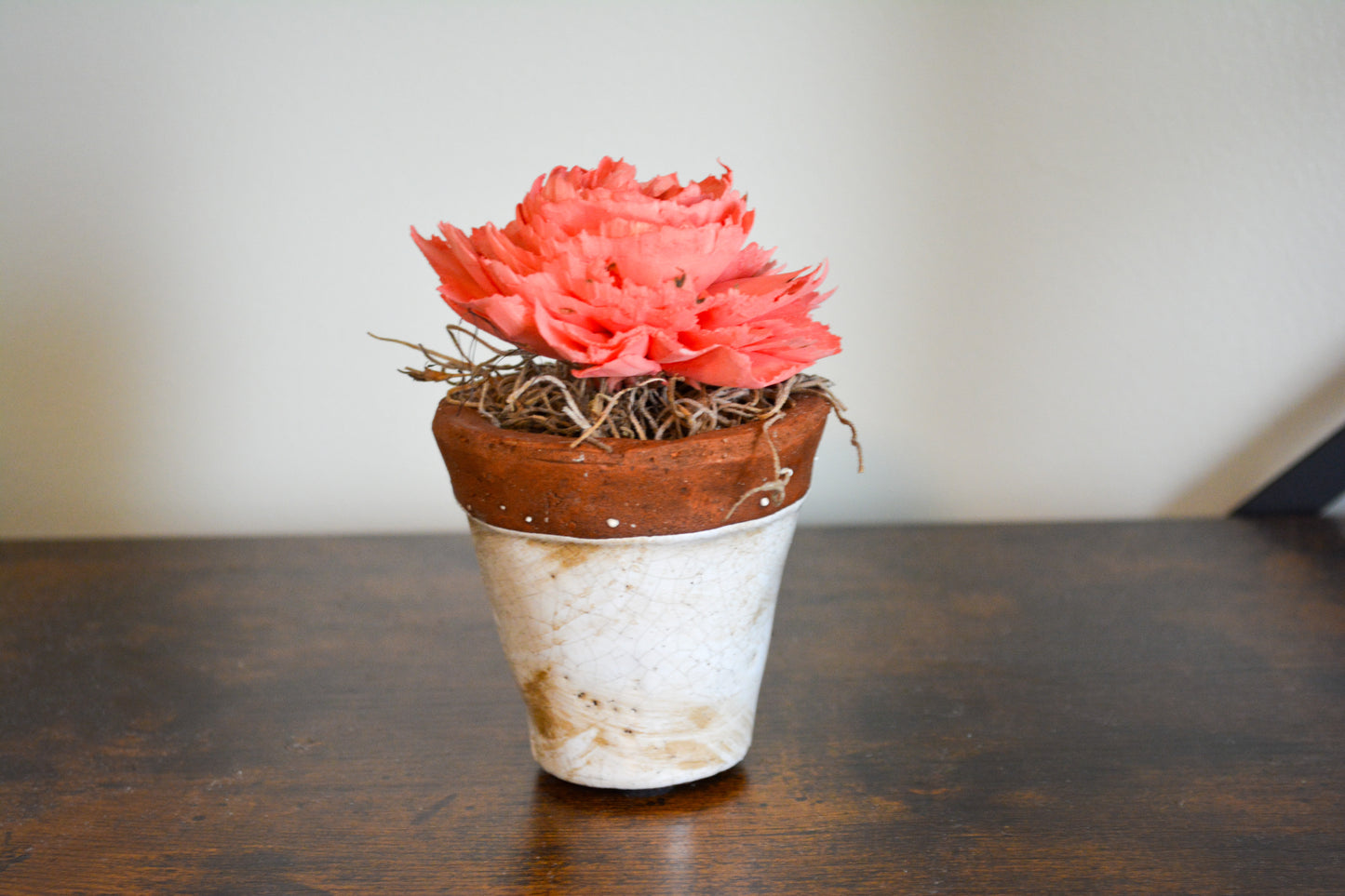 Single Flower in Mini Flower Pot