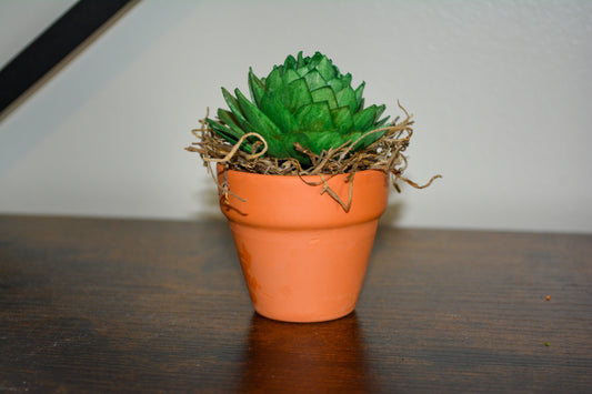 Mini Wood Succulent