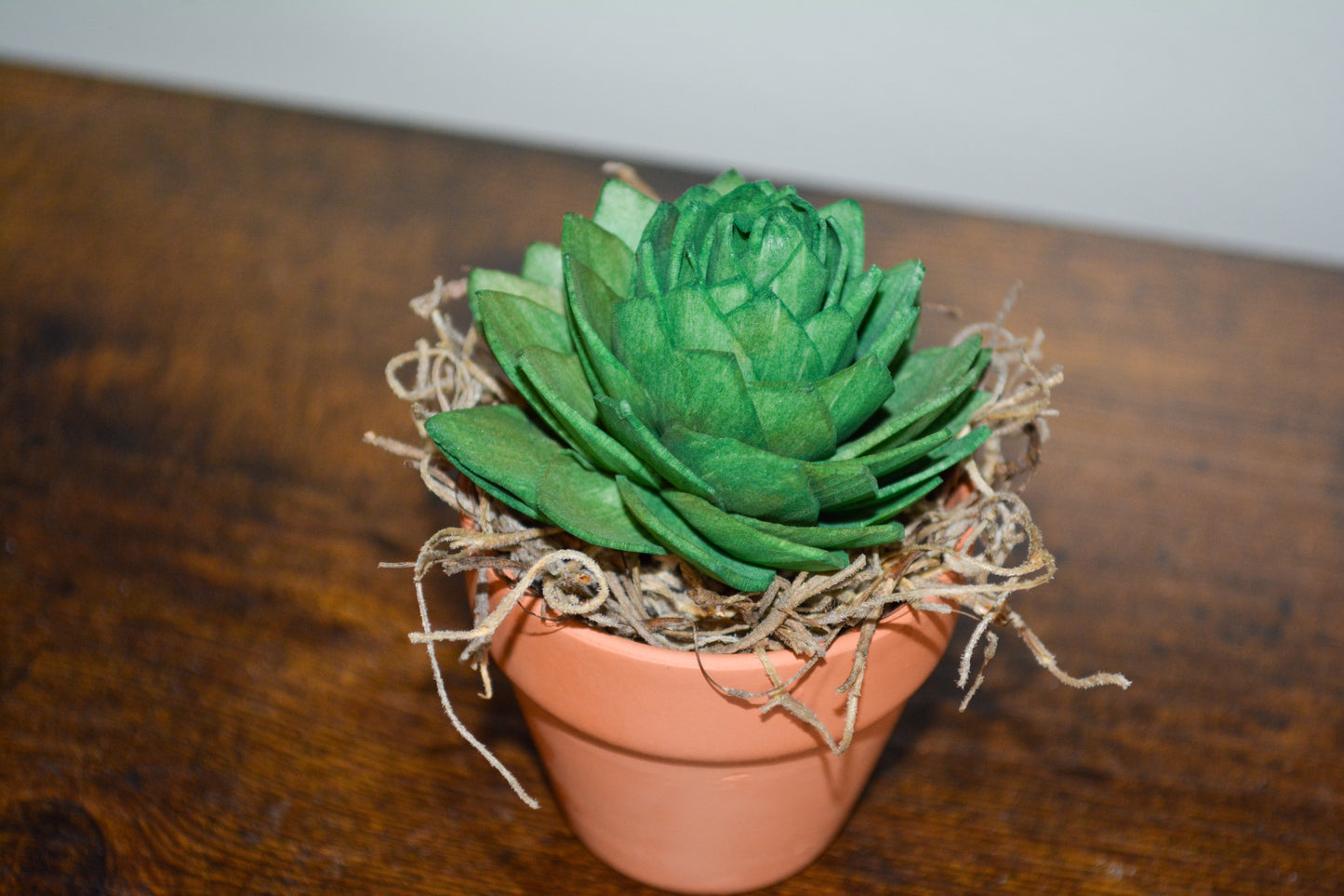 Mini Wood Succulent