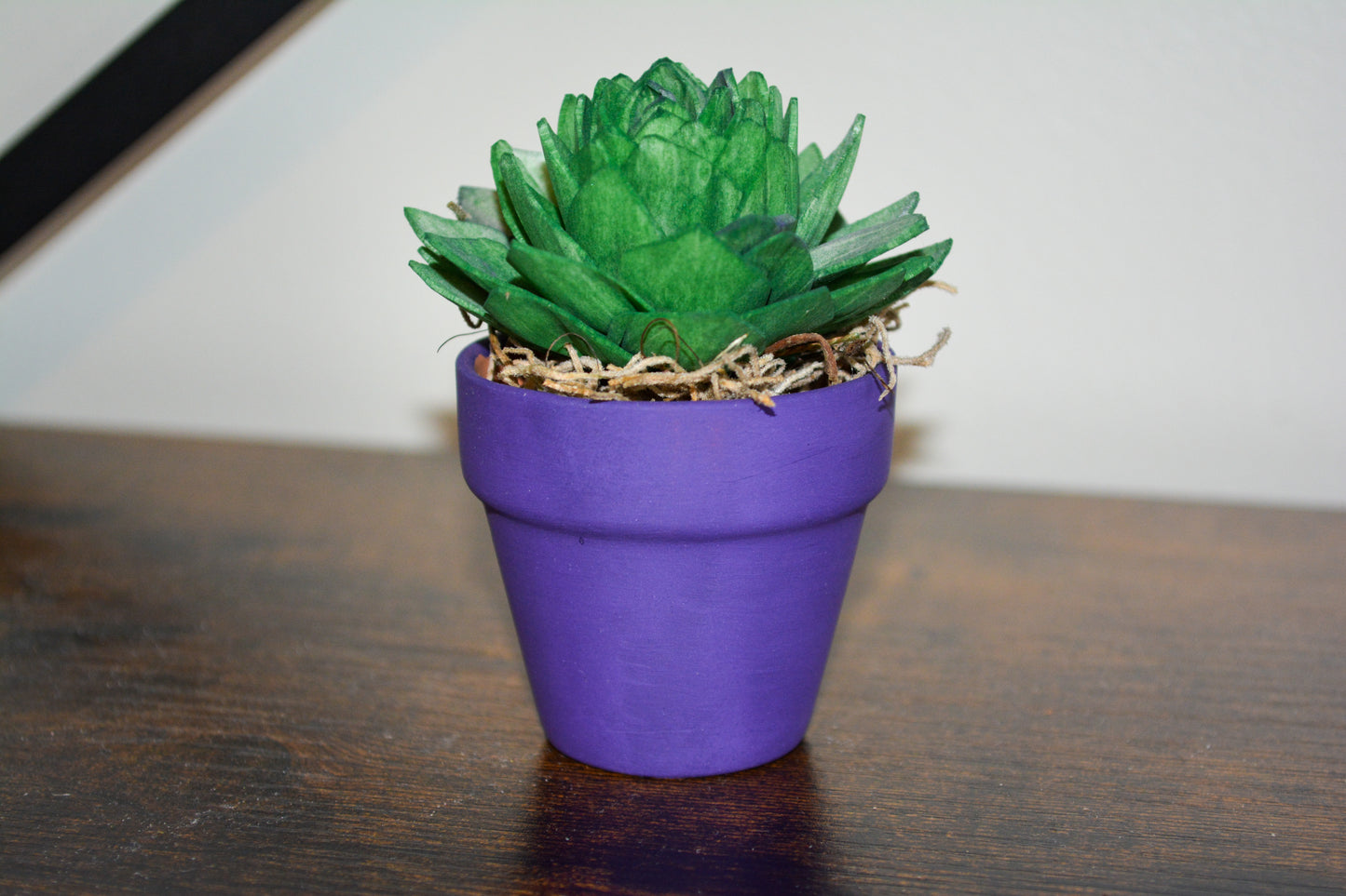 Mini Wood Succulent in Purple Pot