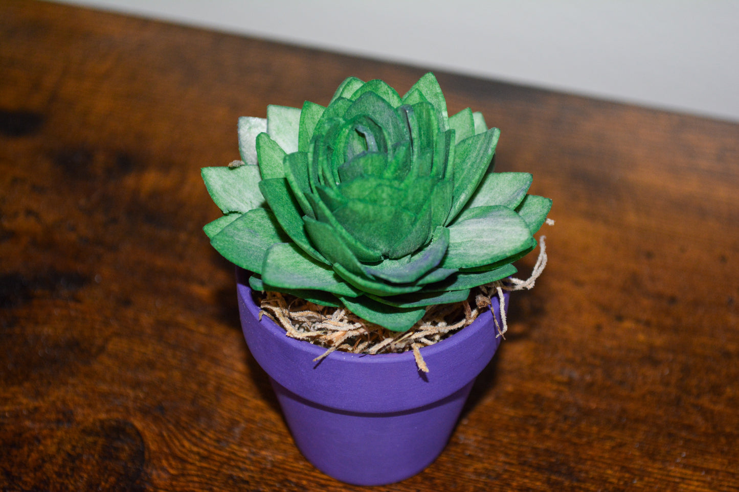 Mini Wood Succulent in Purple Pot