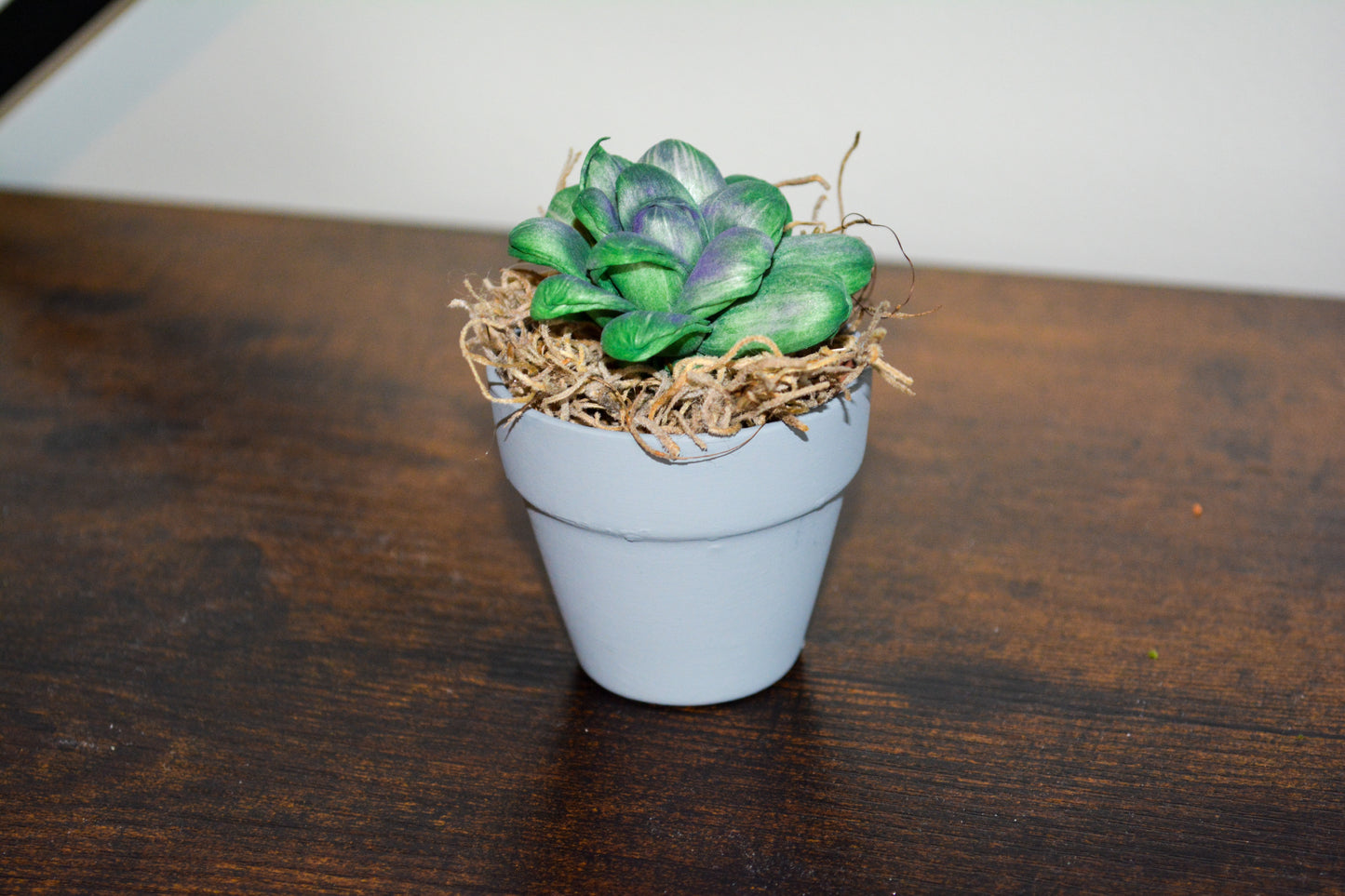 Mini Wood Succulent in Gray Pot