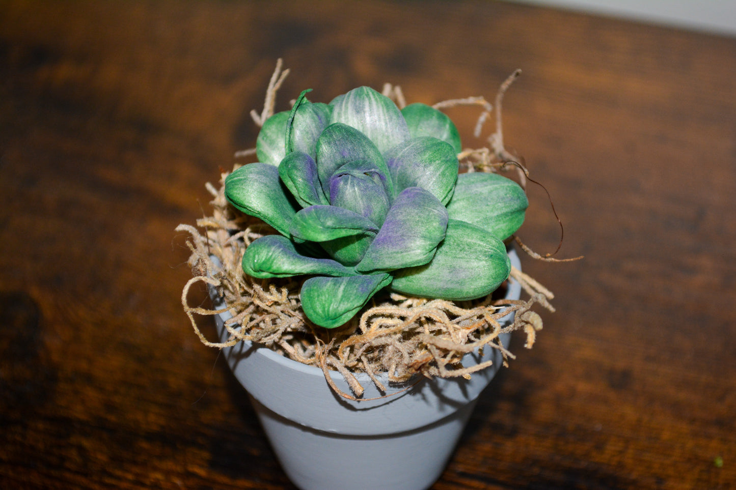 Mini Wood Succulent in Gray Pot